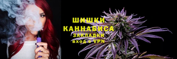 spice Новозыбков