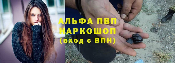 молекула духа Новодвинск