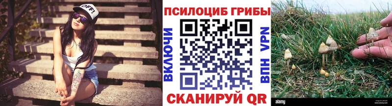 Галлюциногенные грибы мухоморы Куровское
